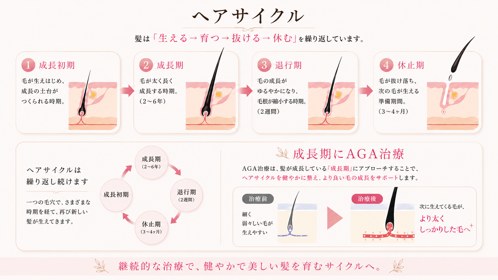 ヘアサイクルの図